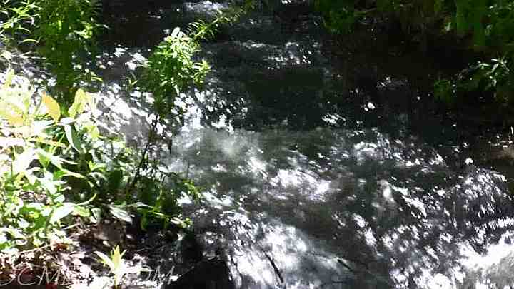 Rushing Waters 2 Nature Relaxation Video 1280x720 Time: 05:06