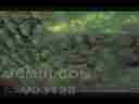 Catalog#:V03128 License:$40.00, Format:720x480 Indeo 4.5/5.1 (.AVI) at 30fps, Length:11 sec. Multi-layer high clouds drifting time lapse