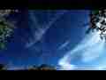 Catalog#:V05891HD License:$77.00, Format:1920x1080p Indeo 4.5/5.1 (.AVI) at 30fps, Length:26 sec. Time lapse high clouds (with bird!)