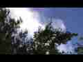 Catalog#:V06765 License:$92.00, Format:1920x1080p H.264 AVCHD (.MTS ) at 30fps, Length:18 sec. High clouds behind trees (realtime)