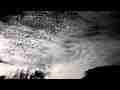 Catalog#:V07099 License:$52.00, Format:1920x1080p Indeo 4.5/5.1 (.AVI) at 30fps, Length:8 sec. Very high cirrus passing behind trees time lapse
