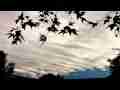 Catalog#:V07910 License:$68.00, Format:1920x1080p Motion JPEG (MJPEG) at 30fps, Length:12 sec. Interesting stratus 