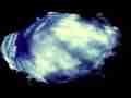 Catalog#:V10530b License:$104.00, Format:1920x1080 Motion JPEG(.AVI) at 30fps, Length: approx.47 sec. Super long Tokina fisheye clouds forming overhead timelapse (part 2)